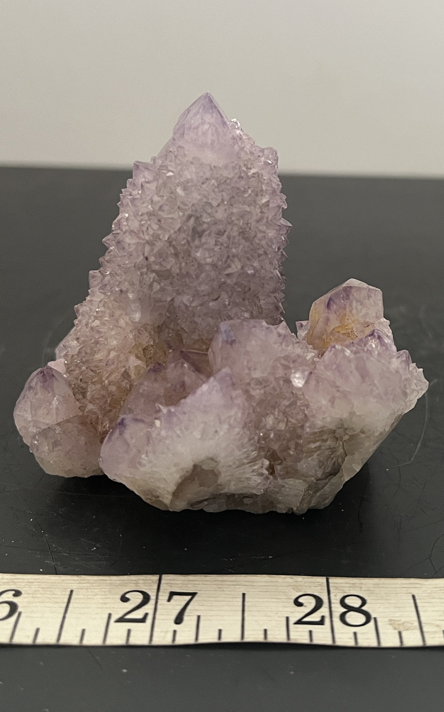 Cactus Amethyst 011