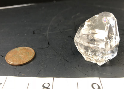 Herkimer Diamond Single 1015-26 | Of Coins & Crystals