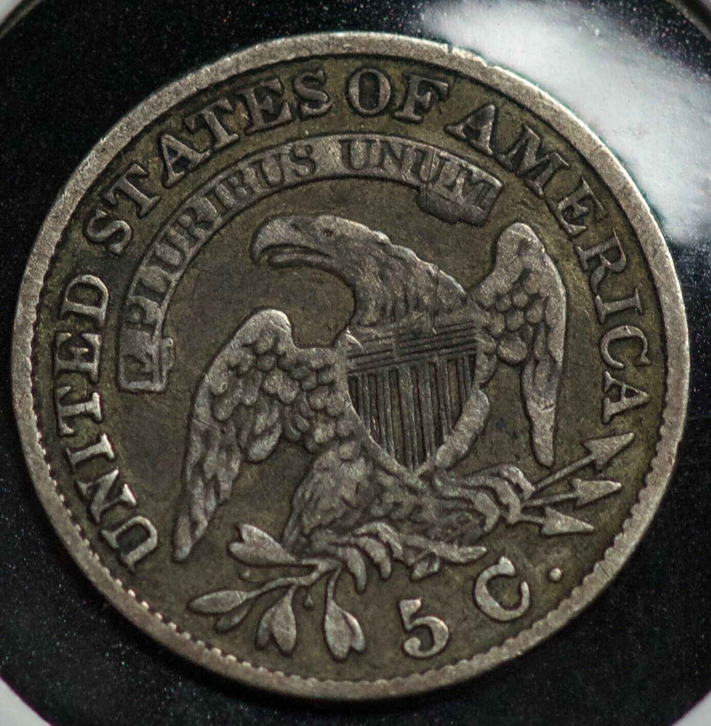 1831 Capped Bust Half Dime F-12 | Of Coins & Crystals