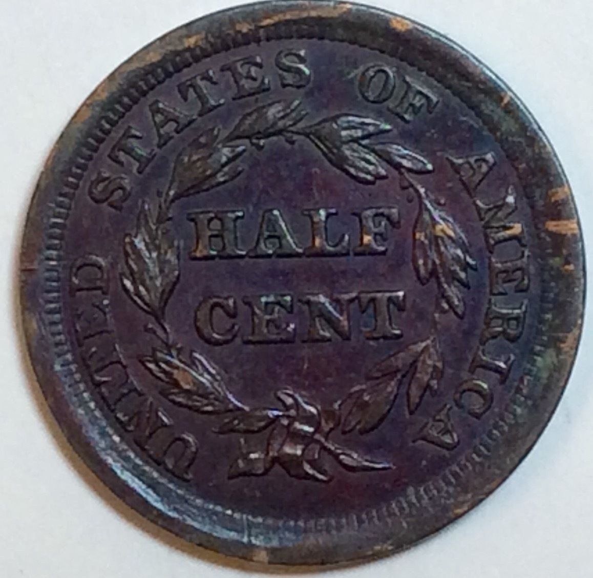 1855 Coronet Half Cent MS-63BN | Of Coins & Crystals
