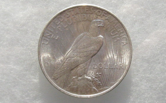 1923 Peace Dollar  MS-65+ | Of Coins & Crystals