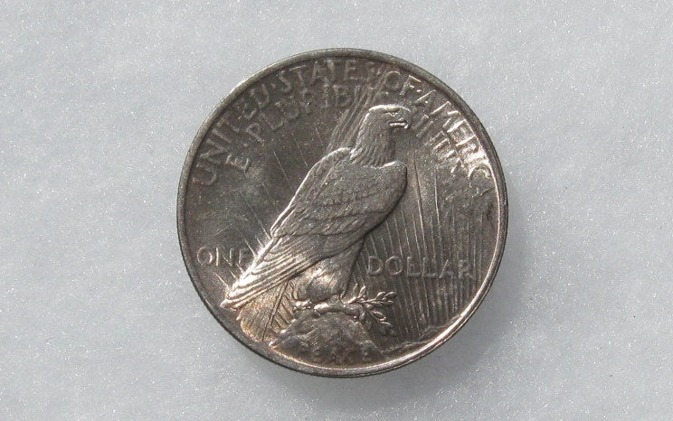 1924  Peace Dollar  MS-65 | Of Coins & Crystals