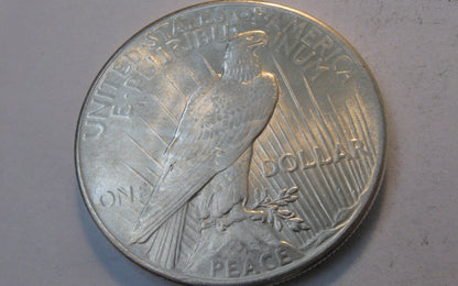 1925 Peace Dollar.  MS-66. | Of Coins & Crystals