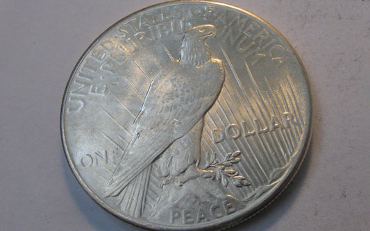 1925 Peace Dollar.  MS-66. | Of Coins & Crystals