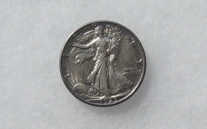 1929D Walking Liberty Half Dollar MS-62 | Of Coins & Crystals