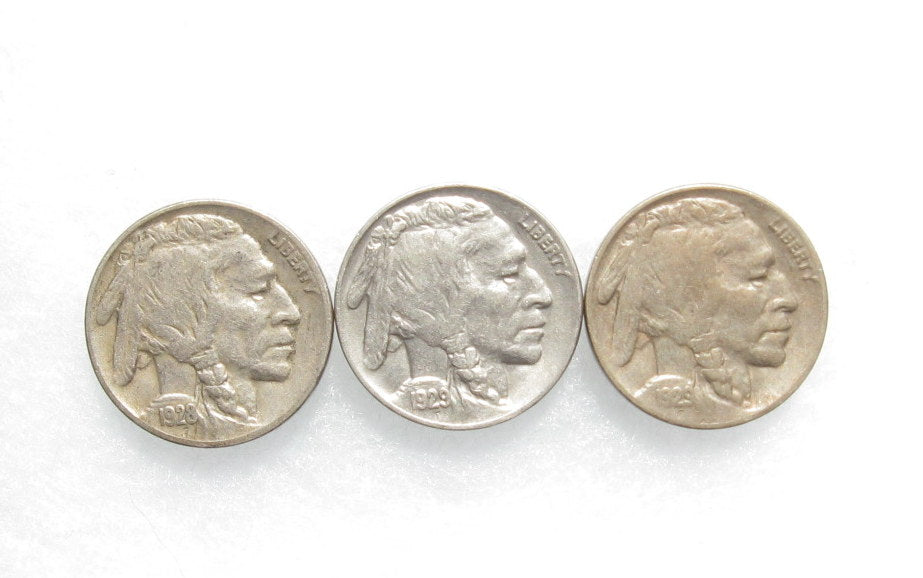 Lot of 3 Buffalo Nickels F-VF | Of Coins & Crystals