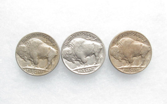 Lot of 3 Buffalo Nickels F-VF | Of Coins & Crystals