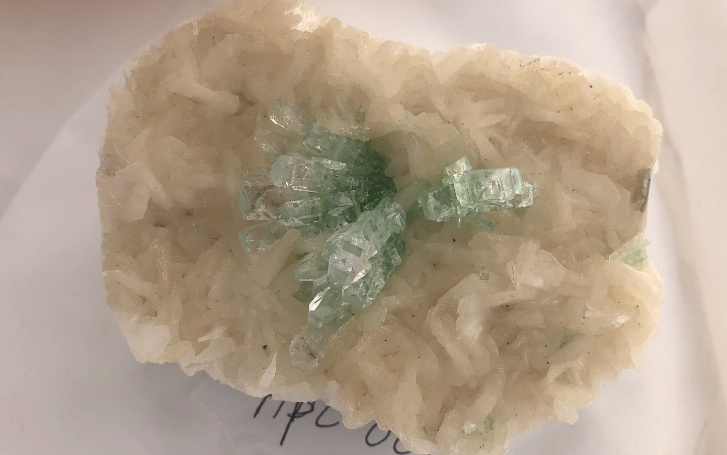 Light Green Apophyllite on White Matrix | Of Coins & Crystals