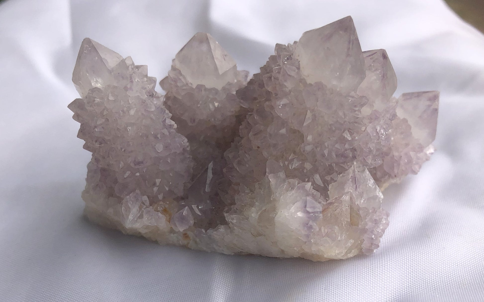 Cactus Amethyst - South Africa 400 | Of Coins & Crystals