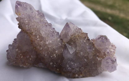 Cactus Amethyst - South Africa 402 | Of Coins & Crystals