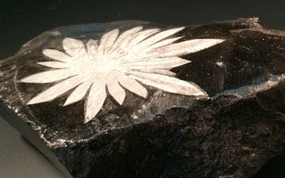 Chrysanthemum stone 3 - China | Of Coins & Crystals