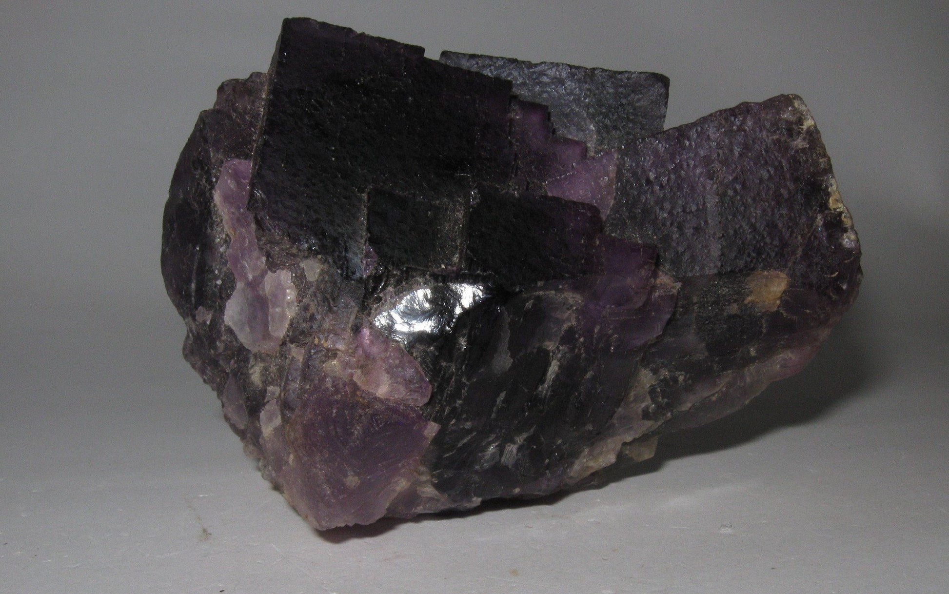 Purple Fluorite | Of Coins & Crystals