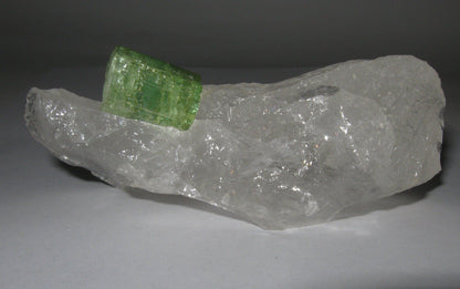 Clear Quartz with Green Tourmaline | Of Coins & Crystals