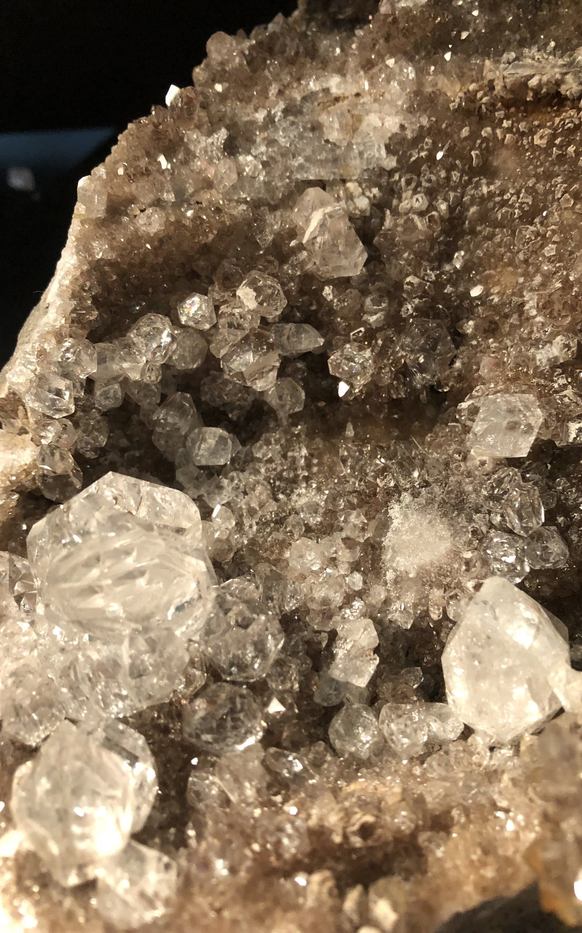 Huge Herkimer Diamond Drusy Specimen 815-12 | Of Coins & Crystals