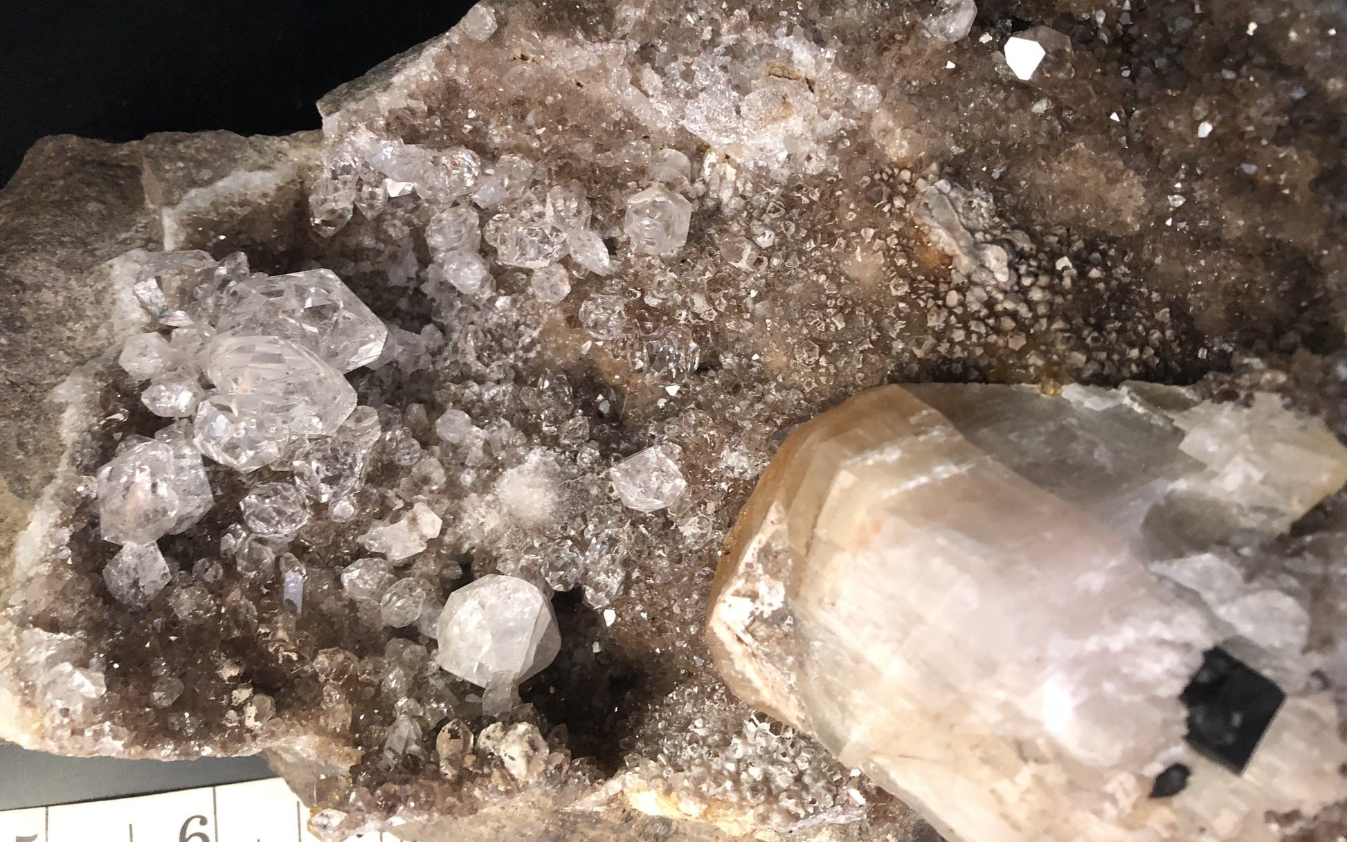 Huge Herkimer Diamond Drusy Specimen 815-12 | Of Coins & Crystals