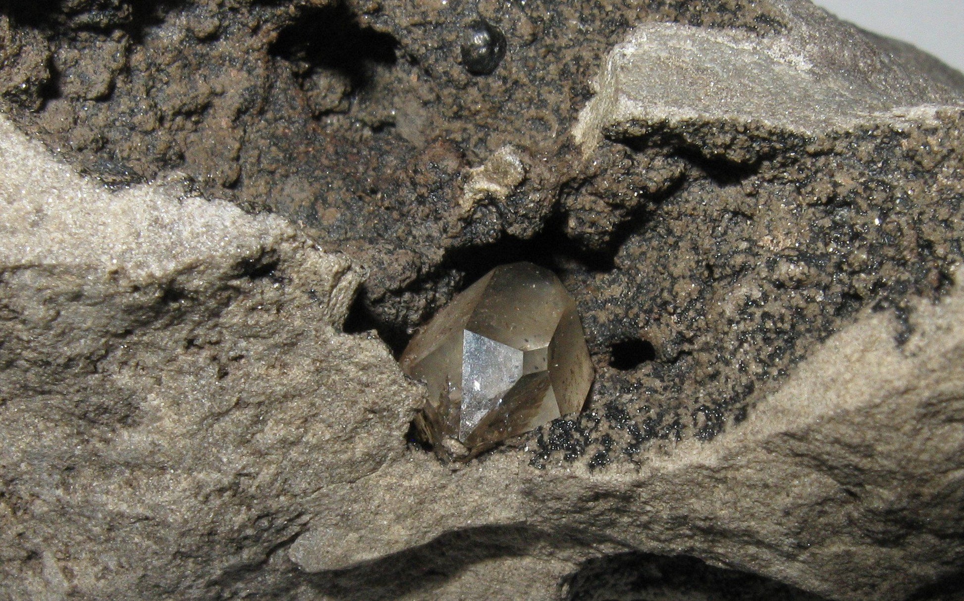 Herkimer Diamond in Limestone Matrix 3 | Of Coins & Crystals