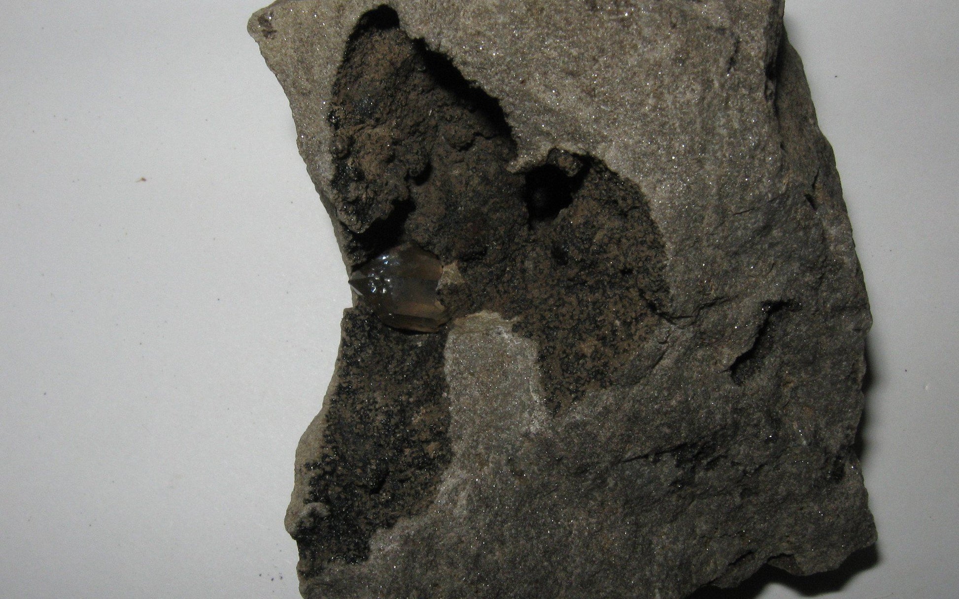 Herkimer Diamond in Limestone Matrix 3 | Of Coins & Crystals