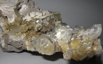 Herkimer Diamond  Drusy 12 | Of Coins & Crystals