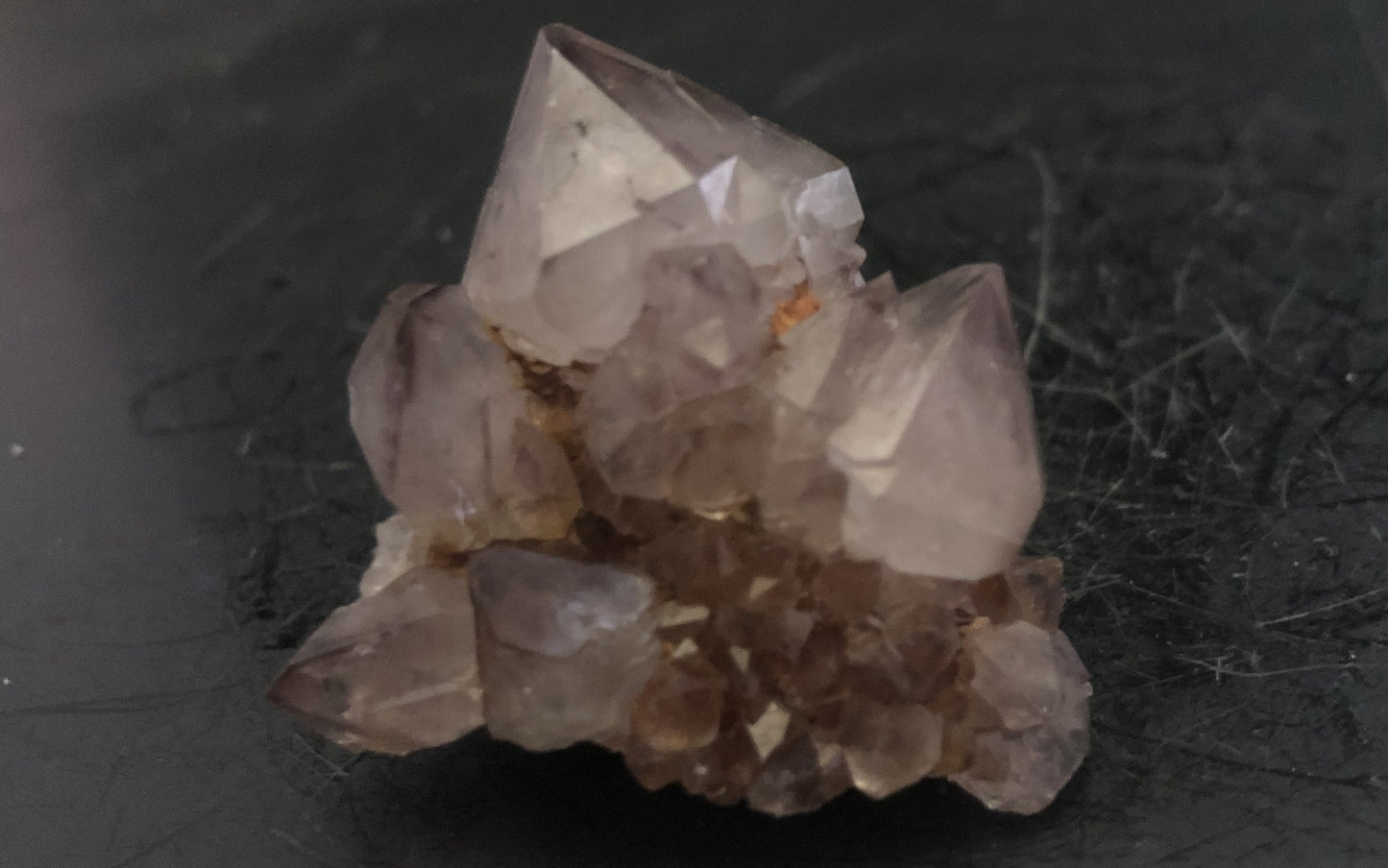 Cactus Amethyst - South Africa 301 | Of Coins & Crystals