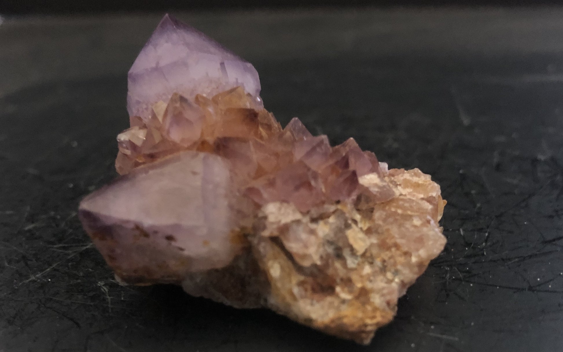 Cactus Amethyst - South Africa 303 | Of Coins & Crystals