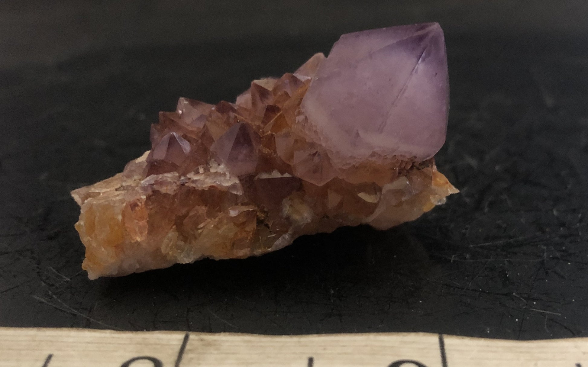 Cactus Amethyst - South Africa 303 | Of Coins & Crystals
