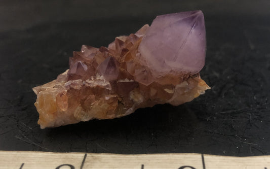 Cactus Amethyst - South Africa 303 | Of Coins & Crystals