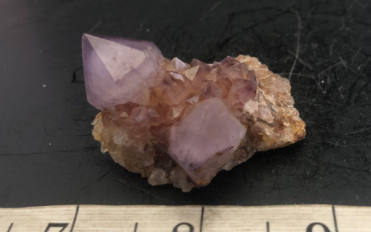Cactus Amethyst - South Africa 303 | Of Coins & Crystals