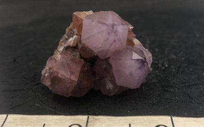 Cactus Amethyst - South Africa 304 | Of Coins & Crystals