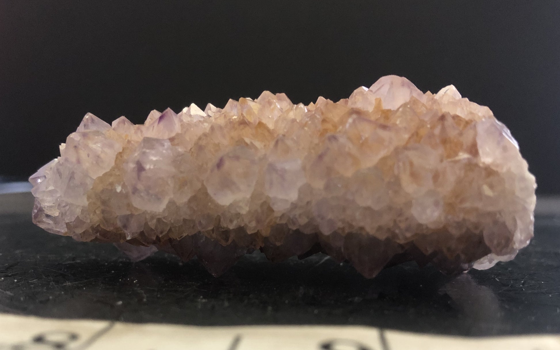 Cactus Amethyst - South Africa 300 | Of Coins & Crystals