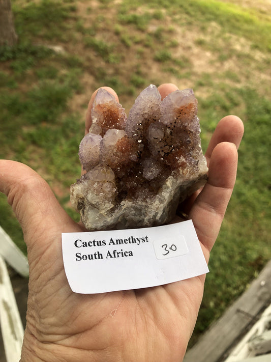 Jennifer's Cactus Amethyst South Africa - RESERVED! | Of Coins & Crystals
