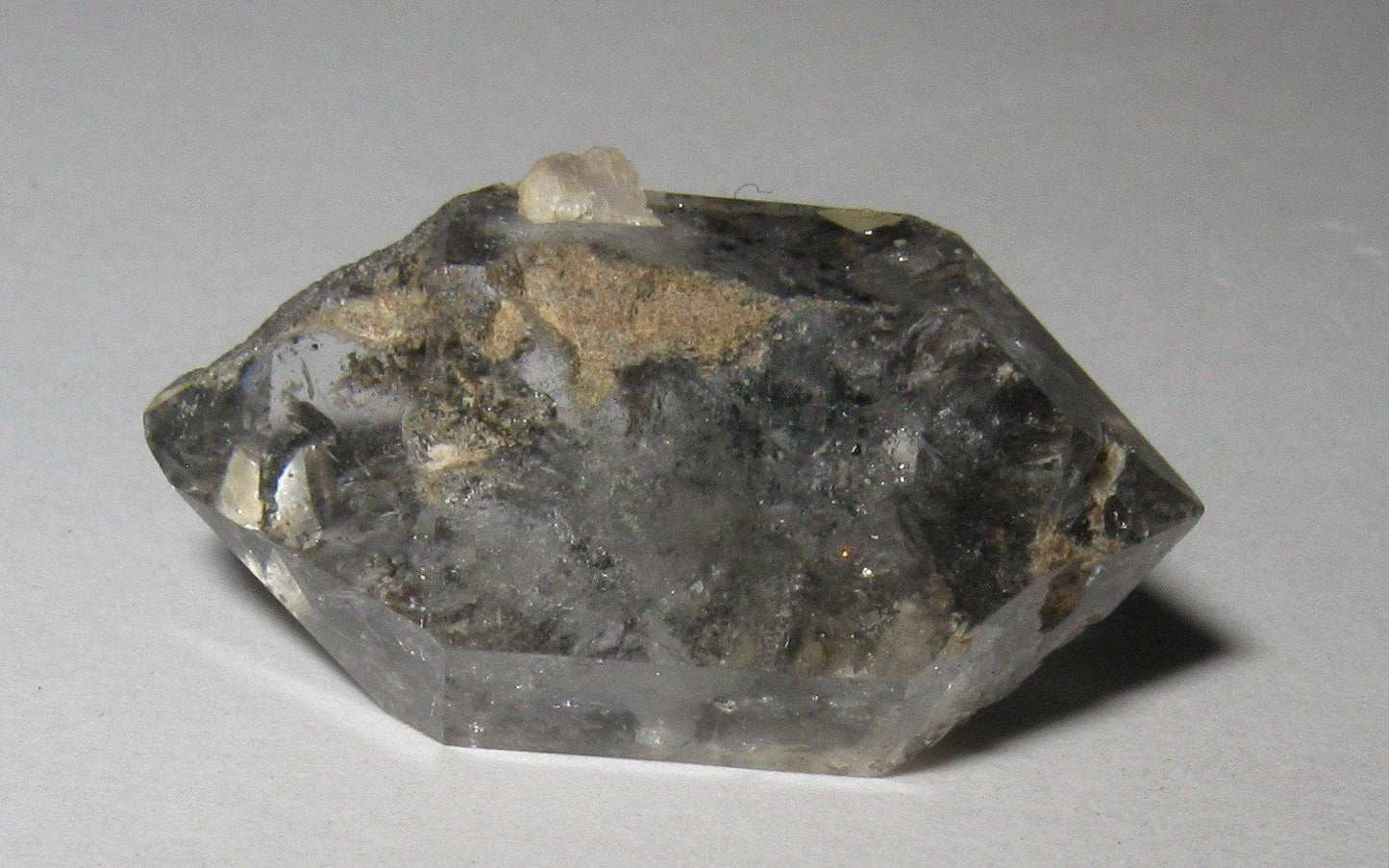 Herkimer Diamond with Anthraxolite & Dolomite Inclusions | Of Coins & Crystals