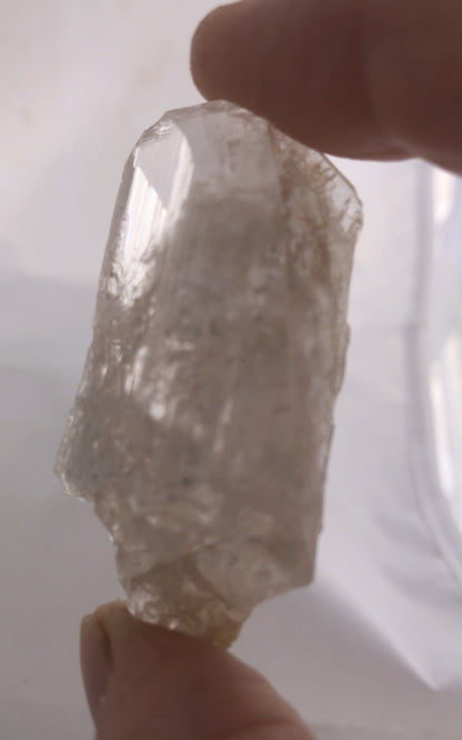 Danburite  2 - Charcas, Mexico | Of Coins & Crystals
