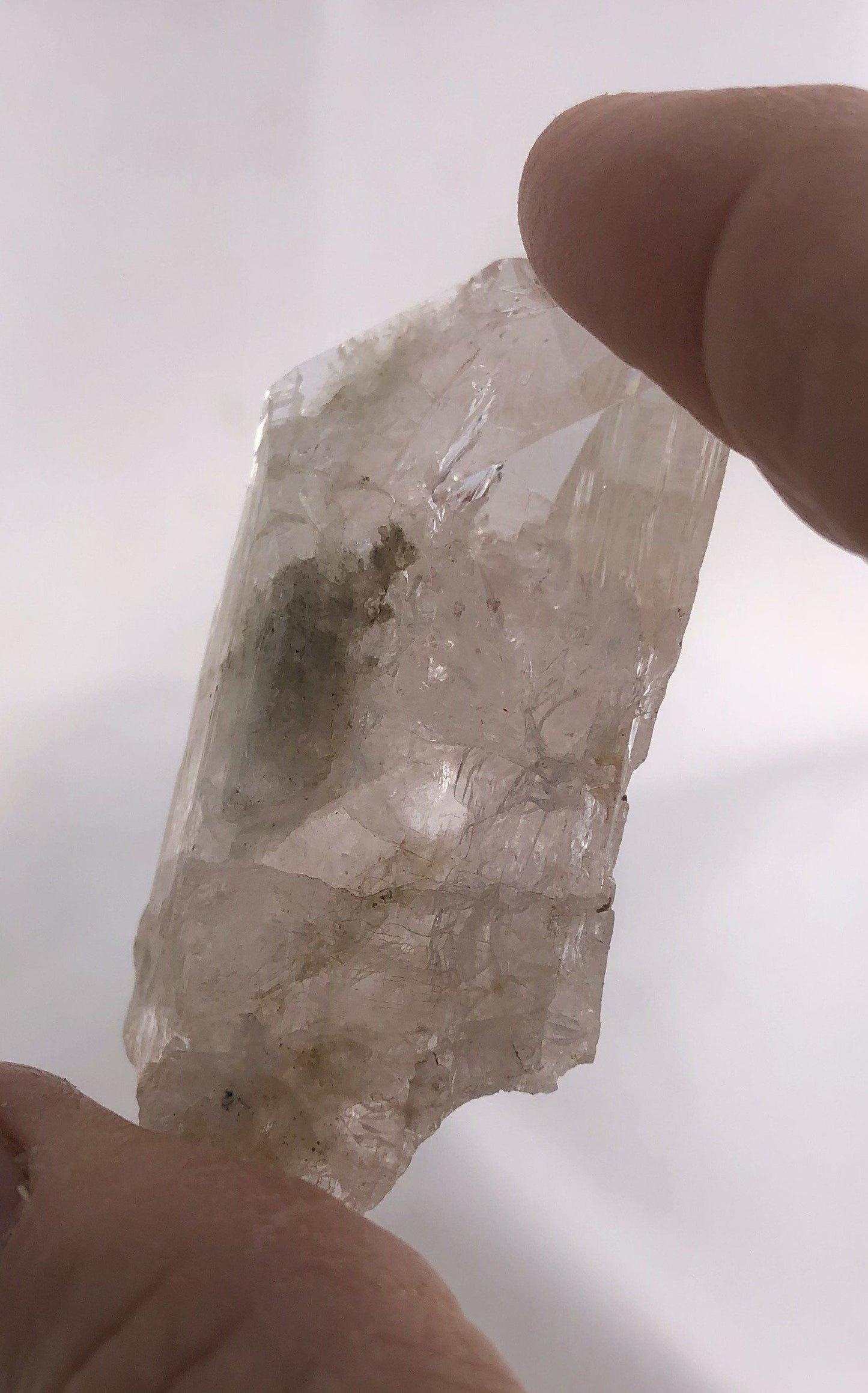 Danburite  2 - Charcas, Mexico | Of Coins & Crystals