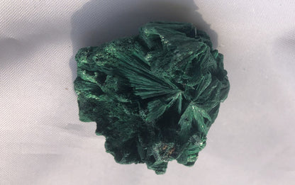 Fibrous Malachite 15 - Congo | Of Coins & Crystals