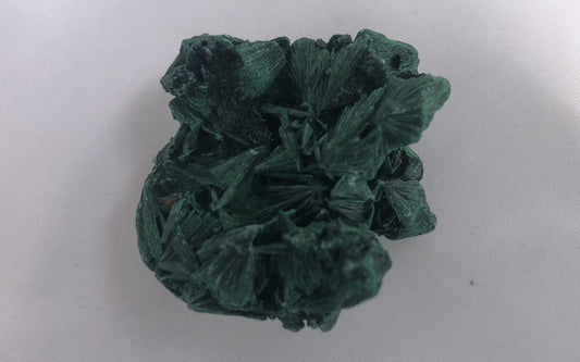 Fibrous Malachite 16 - Congo | Of Coins & Crystals