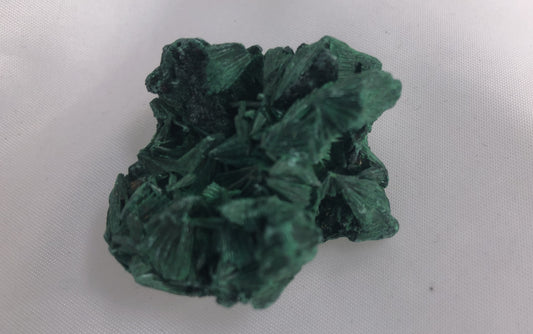 Fibrous Malachite 16 - Congo | Of Coins & Crystals