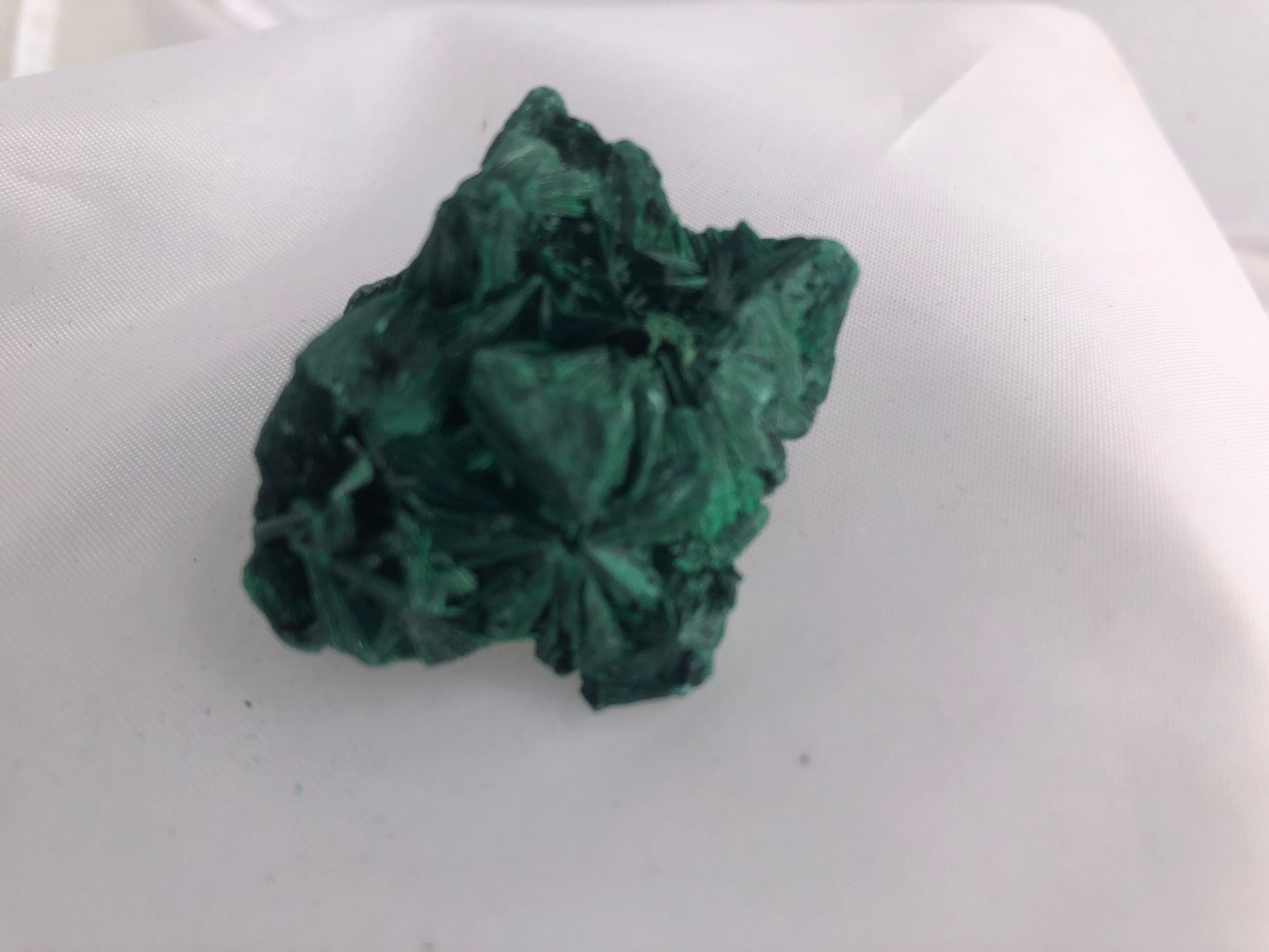 Fibrous Malachite 16 - Congo | Of Coins & Crystals