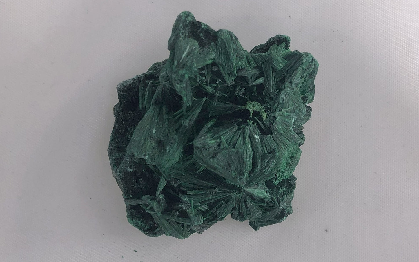 Fibrous Malachite 16 - Congo | Of Coins & Crystals