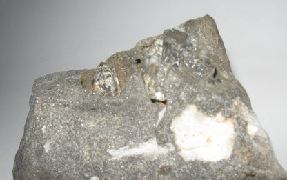Herkimer Diamonds in Matrix w/ Dolomite & Calcite | Of Coins & Crystals