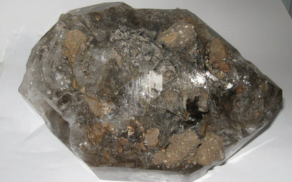 Herkimer Diamond Single 7 | Of Coins & Crystals