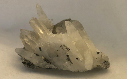 Quartz with Pyrite -  Peru | Of Coins & Crystals