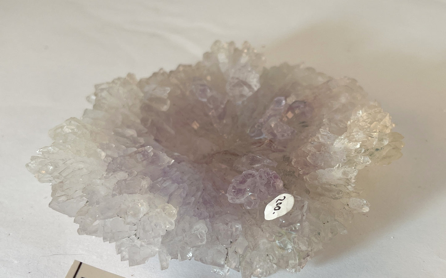 Rose Amethyst 9 - Irai, Rio Grande do Sul, Brazil