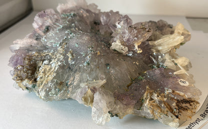 Rose Amethyst 11 - Irai, Rio Grande do Sul, Brazil