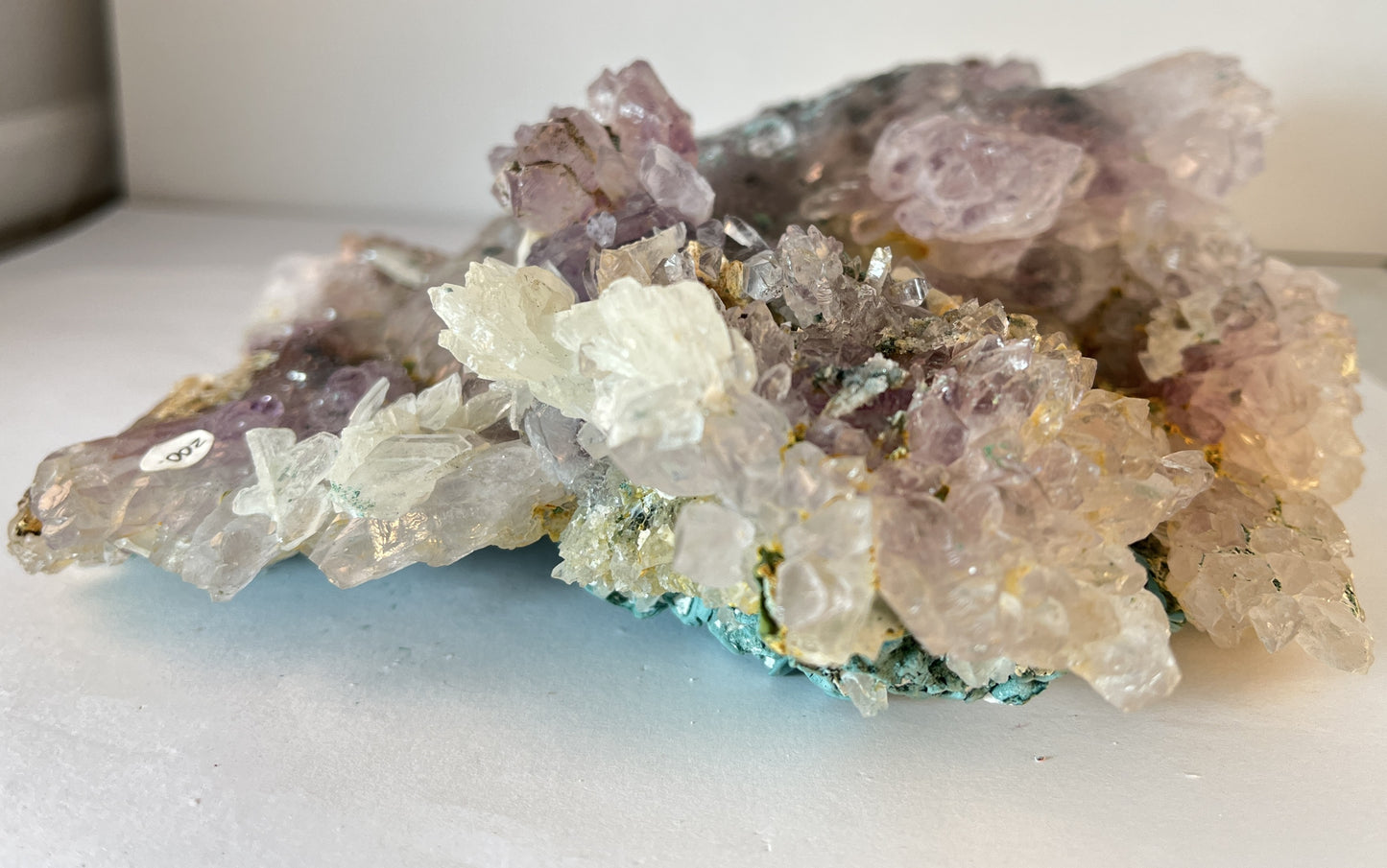 Rose Amethyst 11 - Irai, Rio Grande do Sul, Brazil