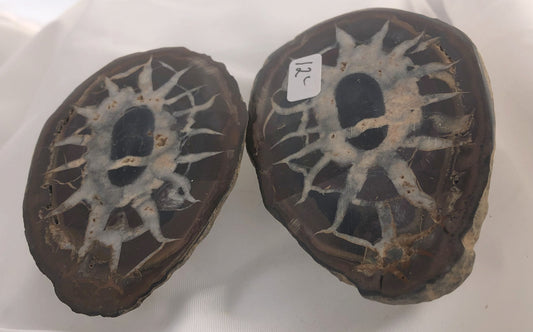 Septarian 33 - Morroco | Of Coins & Crystals