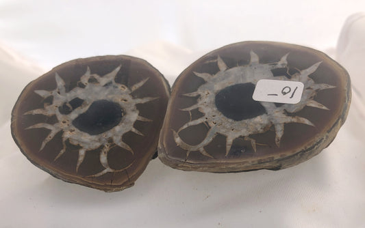Septarian 34 - Morroco | Of Coins & Crystals