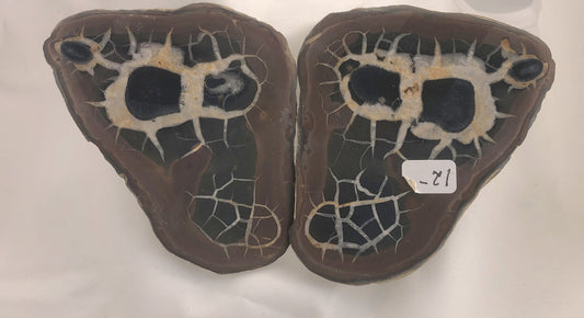 Septarian 35 - Morroco | Of Coins & Crystals