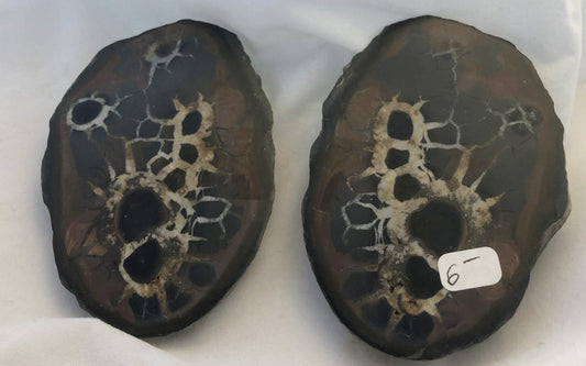 Black Septarian - Morroco | Of Coins & Crystals