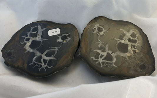 Black Septarian - Morroco | Of Coins & Crystals