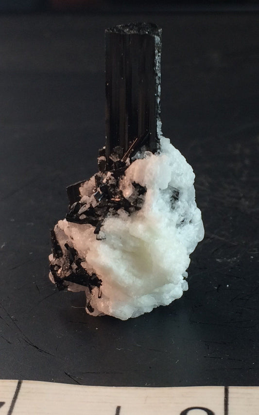 Black Tourmaline in Feldspar 11 - Skardu Valley, Pakistan | Of Coins & Crystals